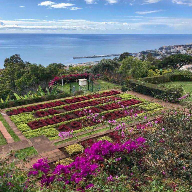 Sol & Mar Rancho Apartment Camara de Lobos Luaran gambar